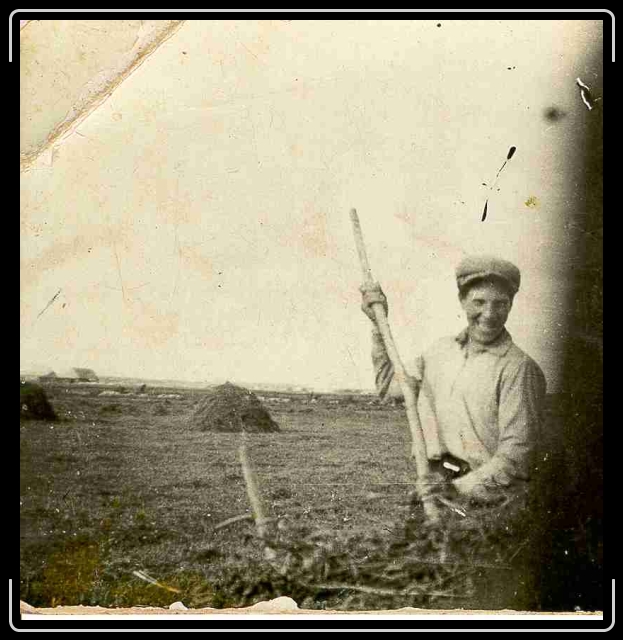 Click for the original image